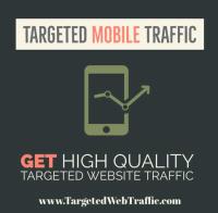 Targeted Website Traffic image 7